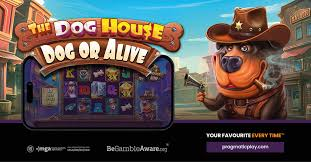  slot The Dog House Megaways, estratégias de jogo, dicas para vencer, jogo responsável